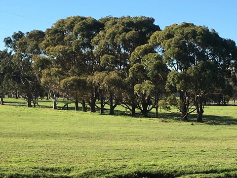 Cosy Corner Chalets - Holiday Adelaide 2