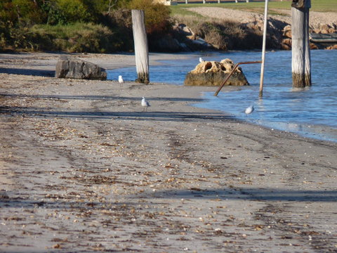Leander Reef Holiday Park - Holiday Adelaide 6