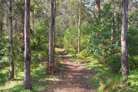 Tall Trees Margaret River - Holiday Adelaide 4