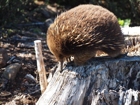 Erriba House - Holiday Adelaide 14