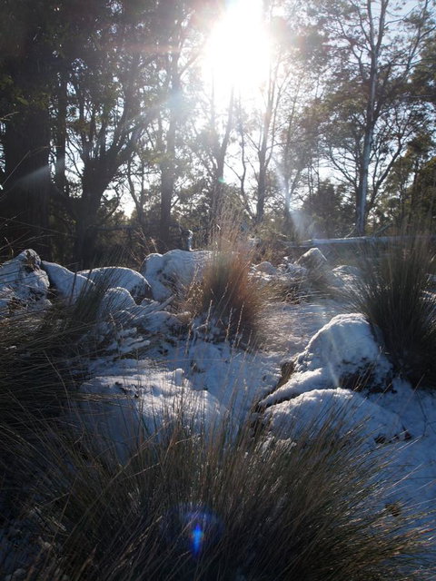 Erriba House - Holiday Adelaide 9