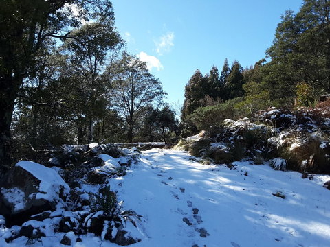 Erriba House - Holiday Adelaide 4