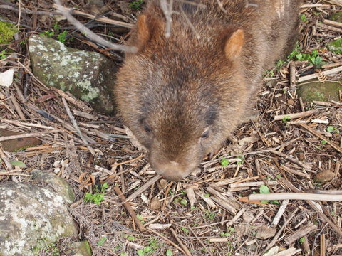 Erriba House - Holiday Adelaide 8