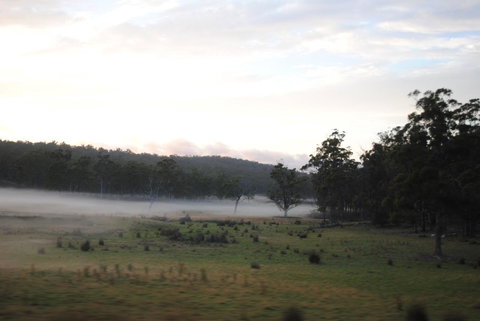 A Slice Of Paradise - Holiday Adelaide 14