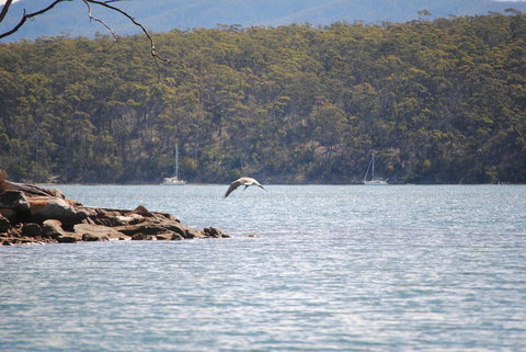 A Slice Of Paradise - Holiday Adelaide 18