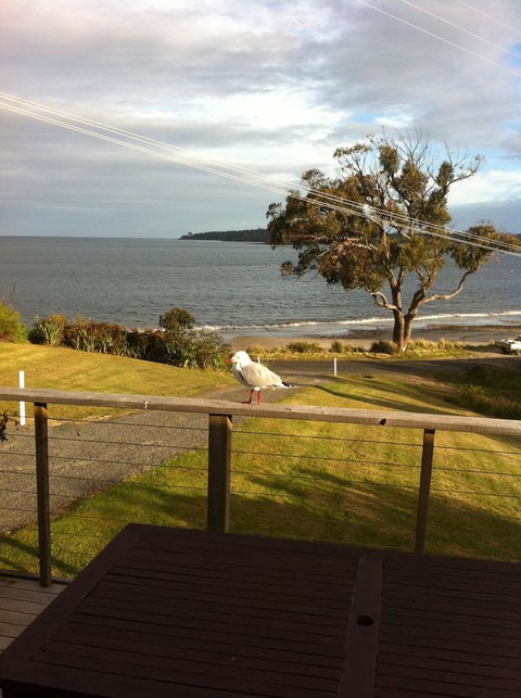 Summertime Cottage - Holiday Adelaide 30