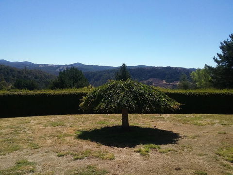 Robin\'s Nest B&B - Holiday Adelaide 28