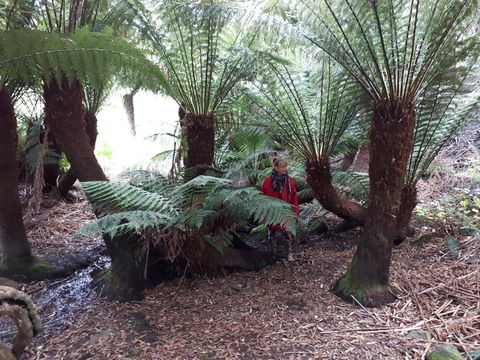 Robin\'s Nest B&B - Holiday Adelaide 9