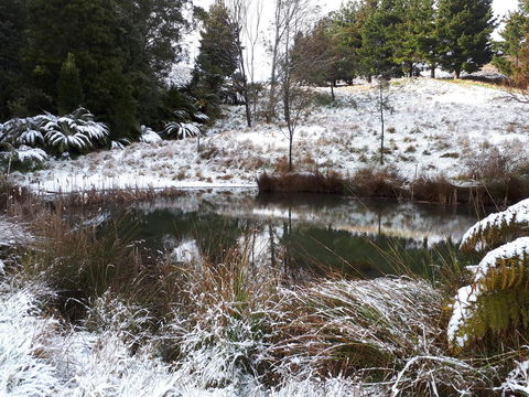 Robin\'s Nest B&B - Holiday Adelaide 25