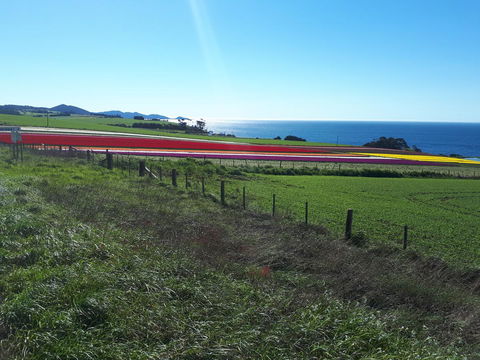 Robin\'s Nest B&B - Holiday Adelaide 26