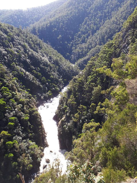 Robin\'s Nest B&B - Holiday Adelaide 22