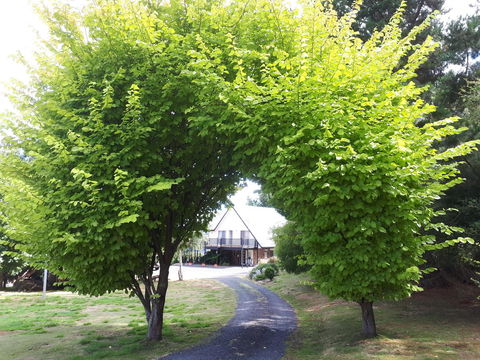 Robin\'s Nest B&B - Holiday Adelaide 10