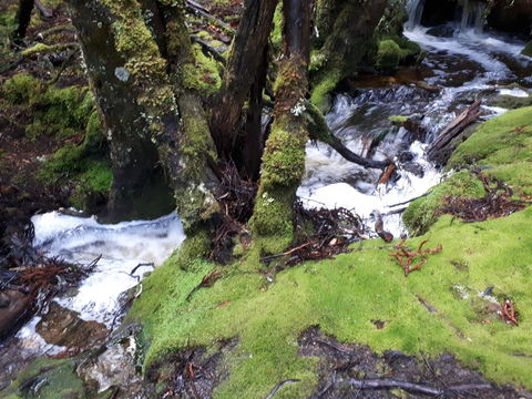 Robin\'s Nest B&B - Holiday Adelaide 27