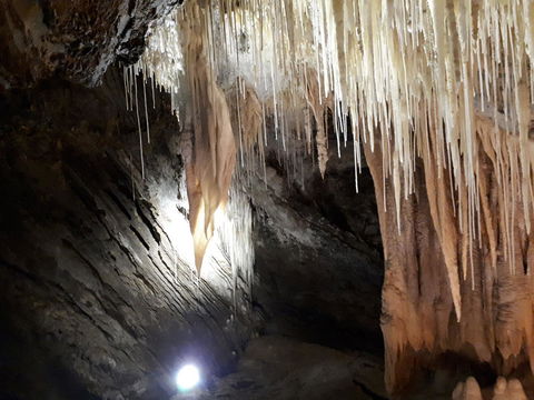 Robin\'s Nest B&B - Holiday Adelaide 29