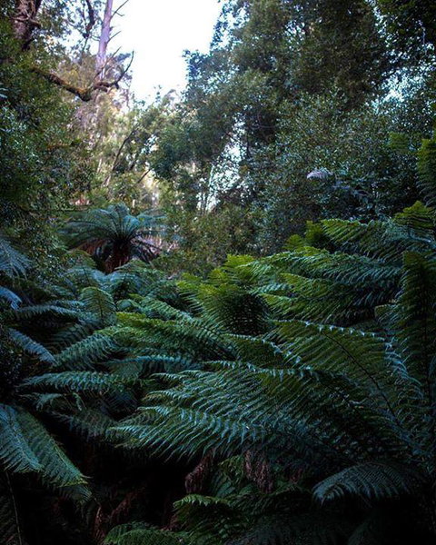Maydena Chalet - Holiday Adelaide 42