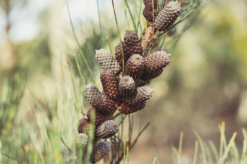 Oyster Cove Chalet - Holiday Adelaide 30