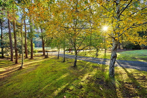 Oyster Cove Chalet - Holiday Adelaide 1