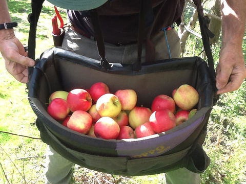 Eureka Farm - Holiday Adelaide 24