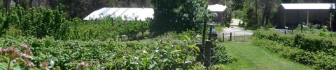 Eureka Farm - Holiday Adelaide 25