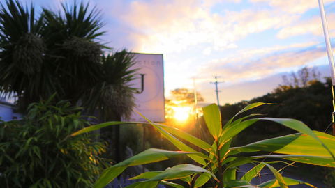 New Norfolk Junction Motel - Holiday Adelaide 31