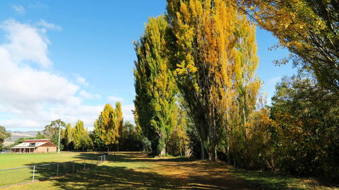 New Norfolk Junction Motel - Holiday Adelaide 15