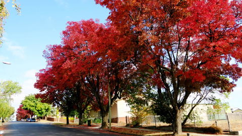 New Norfolk Junction Motel - Holiday Adelaide 22