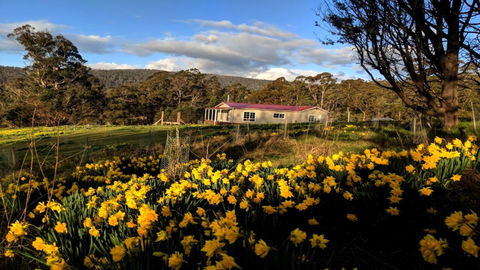 Mountain Blue Guest House - Holiday Adelaide 3