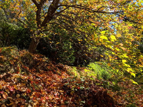 Mountain Blue Guest House - Holiday Adelaide 9