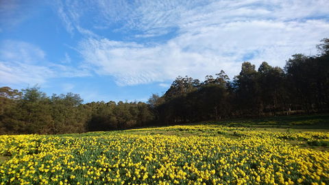 Mountain Blue Guest House - Holiday Adelaide 21