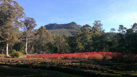 Mountain Blue Guest House - Holiday Adelaide 23