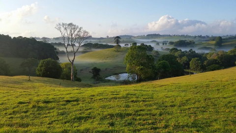 Newyan @ Maleny - Holiday Adelaide 3