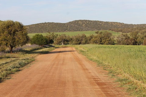 Northbrook Farmstay - Holiday Adelaide 2