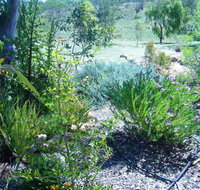 Old Miners' Cottages Bed and Breakfast - Holiday Adelaide