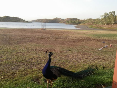 Overlander Hotel - Holiday Adelaide 2