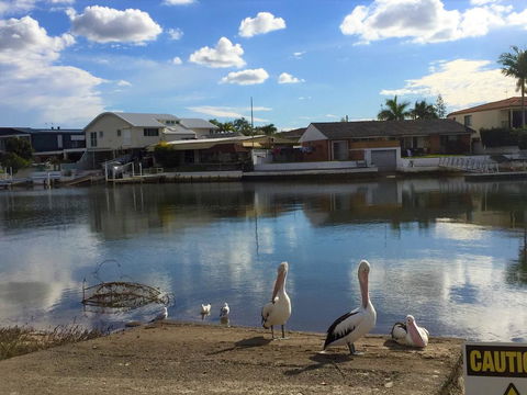 Pelican Cove Apartments - Holiday Adelaide 0