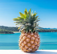 Pineapple House Whitsundays - Holiday Adelaide