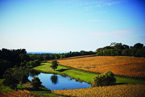 Port Phillip Estate - Holiday Adelaide 2