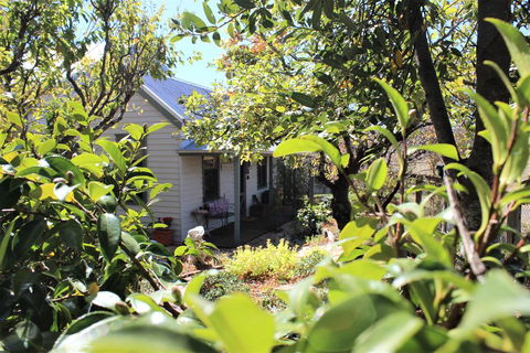 Quince Cottage - Holiday Adelaide 2