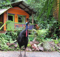 Rainforest Hideaway - Holiday Adelaide