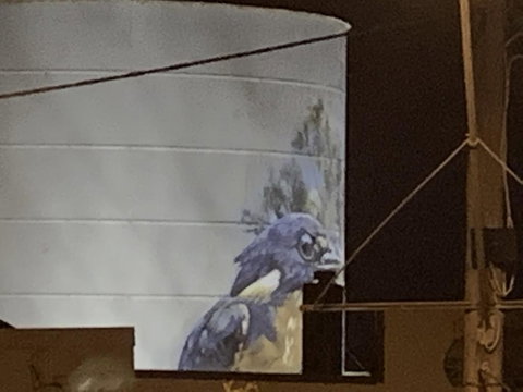 Rochester Wine Tavern - Holiday Adelaide 1