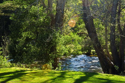Russell Falls Holiday Cottages - Holiday Adelaide 2