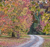 Rustic Spirit - Holiday Adelaide