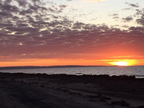 Salty Dayz - Holiday Adelaide 3