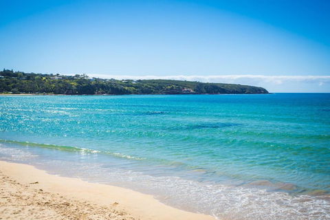Seachange Apartments Merimbula - Holiday Adelaide 2