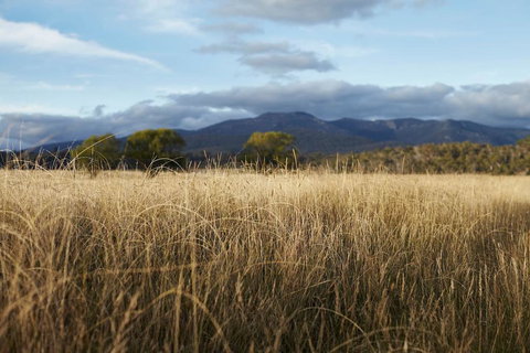 Second Flat Retreat - Holiday Adelaide 2