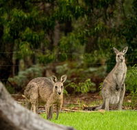 Secura Lifestyle Countryside Kalaru - Holiday Adelaide