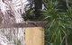 Shady Grove B&B - thumb 1