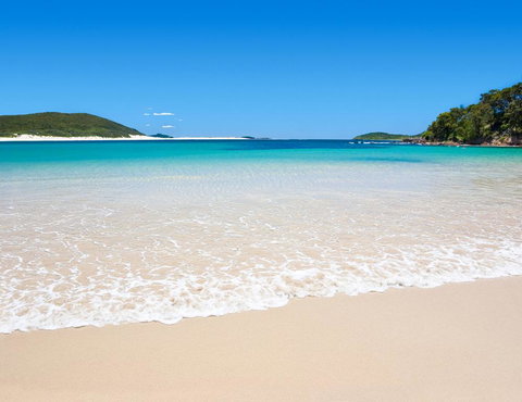 Shells On The Shore Holiday Accomm - Dolphins - Holiday Adelaide 0