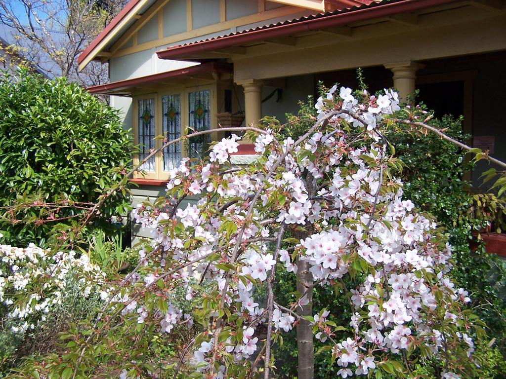 Katoomba NSW Holiday Adelaide