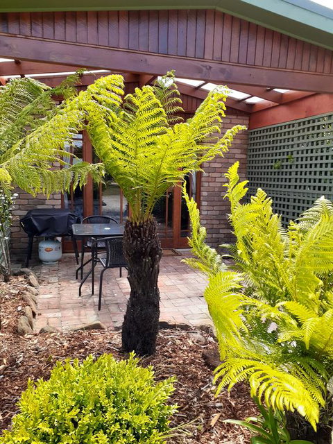 Sleepy Hollow Hideout (Hidout 2) - Holiday Adelaide 1